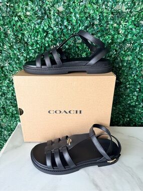 Coach Franny Black Leather Multi-Strap Gladiator Sandals NIB Size 11
